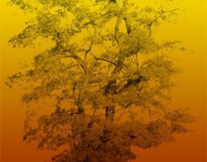 Large Tree Brush Photoshop brush