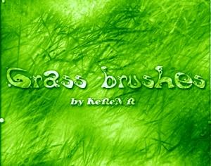 Grass Brushes Photoshop brush