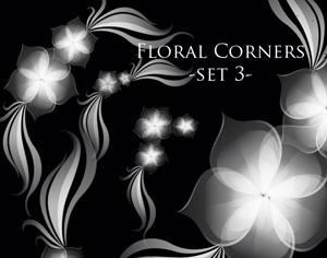 5 Floral Corner Brushes Photoshop brush