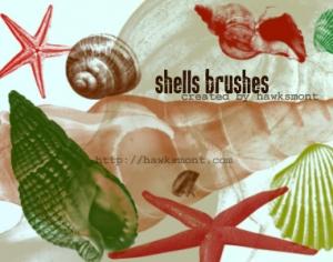 Shells Photoshop brush