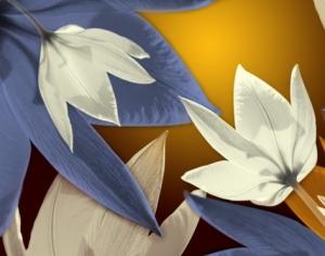 Shiny Flower Brushes Photoshop brush